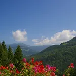 Guest house Gaestehaus Berger - Priglhof 3*