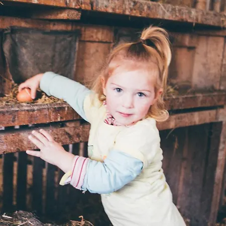 Gaestehaus Berger - Priglhof Penzion