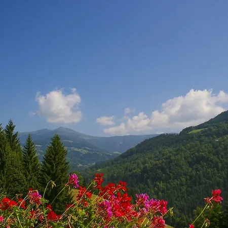 Konukevi Gaestehaus Berger - Priglhof 3*