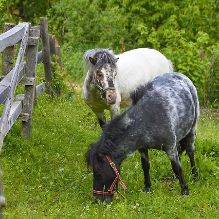 Gaestehaus Berger - Priglhof 3* Treffen
