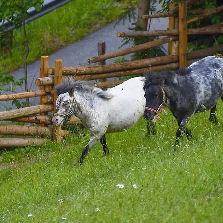 Gaestehaus Berger - Priglhof Penzion