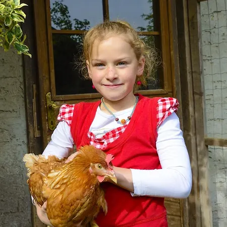 Penzion Gaestehaus Berger - Priglhof Treffen