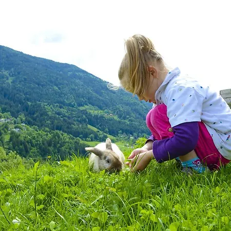 Gaestehaus Berger - Priglhof Treffen