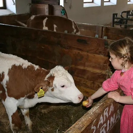 Gaestehaus Berger - Priglhof 3*