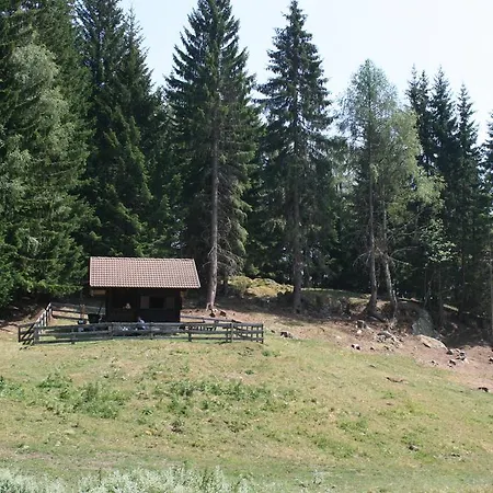 Gaestehaus Berger - Priglhof Penzion