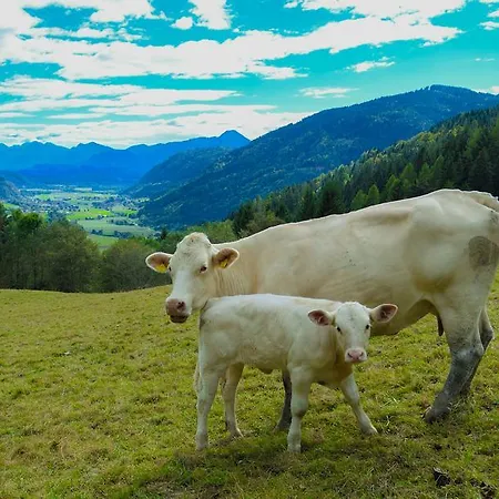 Gaestehaus Berger - Priglhof Penzion Treffen